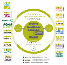 ifoam-organizational-diagram-revised2.png