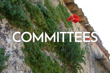 luh-2021-img-home-committees-new1.jpg
